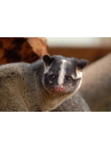 rejas(レジャス) - ゆきなの女の子ブログ画像