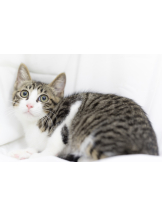 rejas(レジャス) - ゆきなの女の子ブログ画像