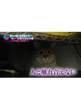 rejas(レジャス) - ゆきなの女の子ブログ画像