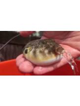 rejas(レジャス) - ゆきなの女の子ブログ画像