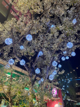 Felice(フェリス) - らんの女の子ブログ画像