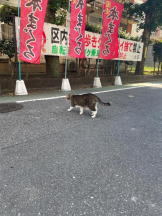 Felice(フェリス) - らんの女の子ブログ画像