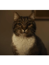 Felice(フェリス) - らんの女の子ブログ画像