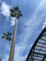 Felice(フェリス) - らんの女の子ブログ画像