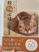 Felice(フェリス) - らんの女の子ブログ画像