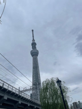 Felice(フェリス) - らんの女の子ブログ画像