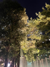 Felice(フェリス) - らんの女の子ブログ画像