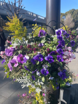 Felice(フェリス) - らんの女の子ブログ画像