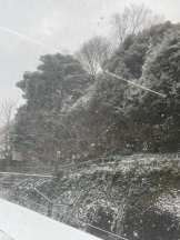 Felice(フェリス) - らんの女の子ブログ画像