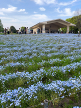 エンジェルキッス 池袋 - あずさの女の子ブログ画像
