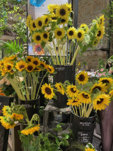 アチュゲッチュ - 乃愛の女の子ブログ画像