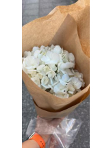 Felice(フェリス) - りえの女の子ブログ画像