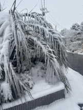 Felice(フェリス) - りえの女の子ブログ画像