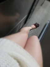 Felice(フェリス) - るみの女の子ブログ画像