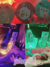 CHERRY DAYS WEST - かんなの女の子ブログ画像