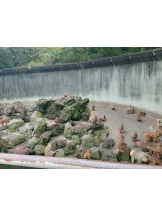 アチュゲッチュ - はずきの女の子ブログ画像