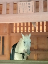 アチュゲッチュ - はずきの女の子ブログ画像