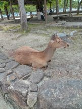 アチュゲッチュ - はずきの女の子ブログ画像