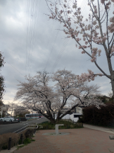 アチュゲッチュ - はずきの女の子ブログ画像