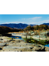 JULIE＆ANNA Tokyo - せなの女の子ブログ画像