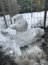 JULIE＆ANNA Tokyo - せなの女の子ブログ画像