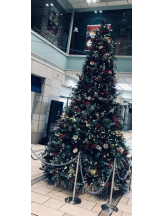 Felice(フェリス) - あこの女の子ブログ画像