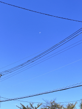 龍宮城 - なるみの女の子ブログ画像