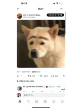 龍宮城 - なるみの女の子ブログ画像