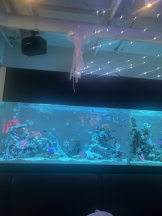 龍宮城 - なるみの女の子ブログ画像