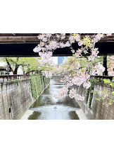 龍宮城 - なるみの女の子ブログ画像