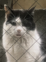 龍宮城 - なるみの女の子ブログ画像