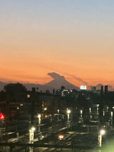 JULIE＆ANNA Tokyo - さくらの女の子ブログ画像