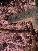 JULIE＆ANNA Tokyo - さくらの女の子ブログ画像