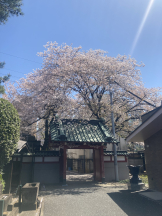 JULIE＆ANNA Tokyo - さくらの女の子ブログ画像