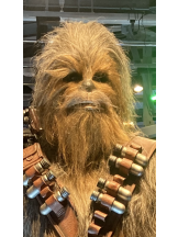 JULIE＆ANNA Tokyo - さくらの女の子ブログ画像