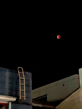 JULIE＆ANNA Tokyo - さくらの女の子ブログ画像