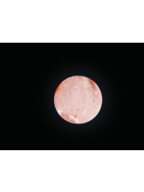 JULIE＆ANNA Tokyo - さくらの女の子ブログ画像