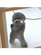 JULIE＆ANNA Tokyo - あゆの女の子ブログ画像