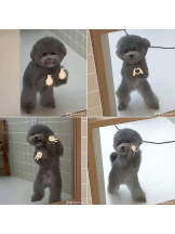 JULIE＆ANNA Tokyo - あゆの女の子ブログ画像