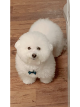 JULIE＆ANNA Tokyo - あゆの女の子ブログ画像