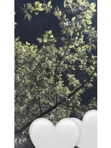 JULIE＆ANNA Tokyo - あゆの女の子ブログ画像