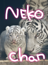 キュンキュン - あやの女の子ブログ画像