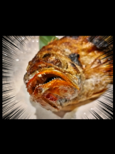 キュンキュン - あやの女の子ブログ画像