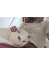 Ronno - るいの女の子ブログ画像