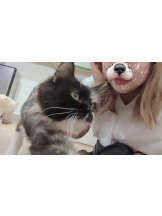 Ronno - るいの女の子ブログ画像