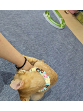 Ronno - るいの女の子ブログ画像