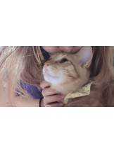 Ronno - るいの女の子ブログ画像