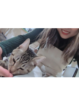 Ronno - るいの女の子ブログ画像