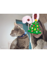 Ronno - るいの女の子ブログ画像