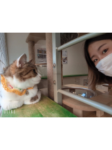 Ronno - るいの女の子ブログ画像